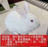 我不到啊